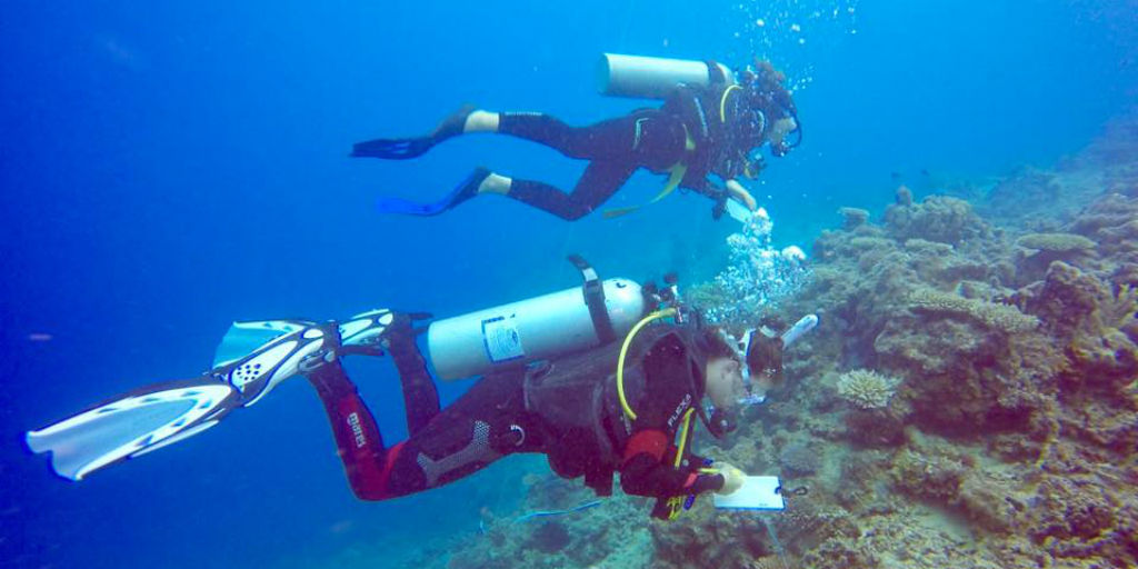 Become certified in diving while volunteering in Fiji