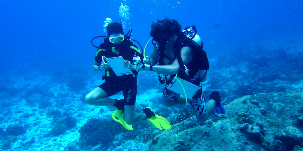 adventure travel scuba divers 