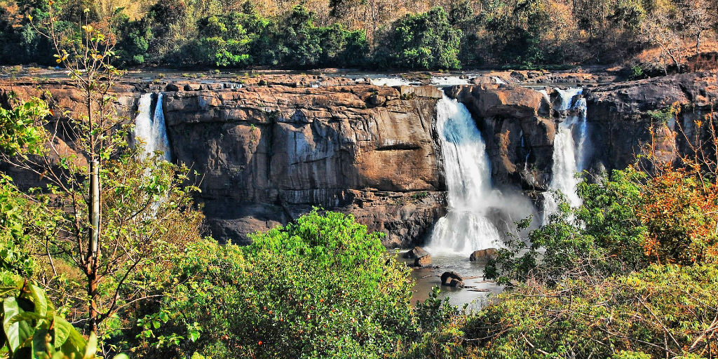 When you volunteer in Kochi, you can take a trip to the Athirappilly waterfalls to spend the weekend in treehouse accomodation.