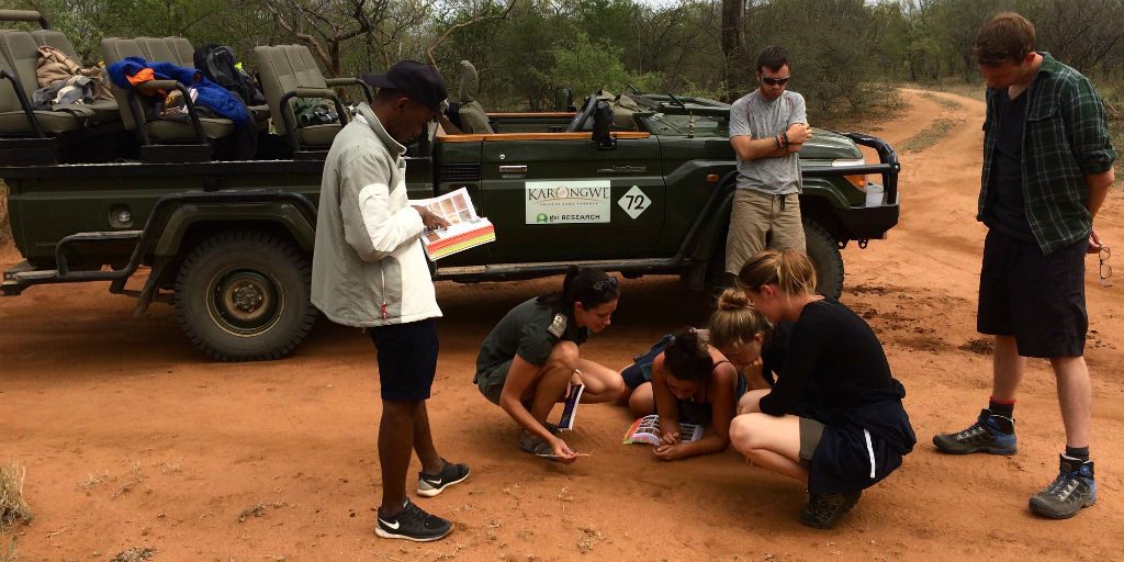 Volunteers on a wildlife conservation program