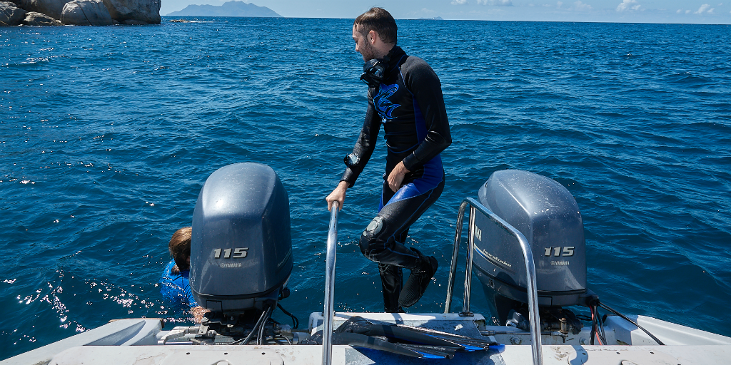 Volunteering for Ocean Conservation with GVI