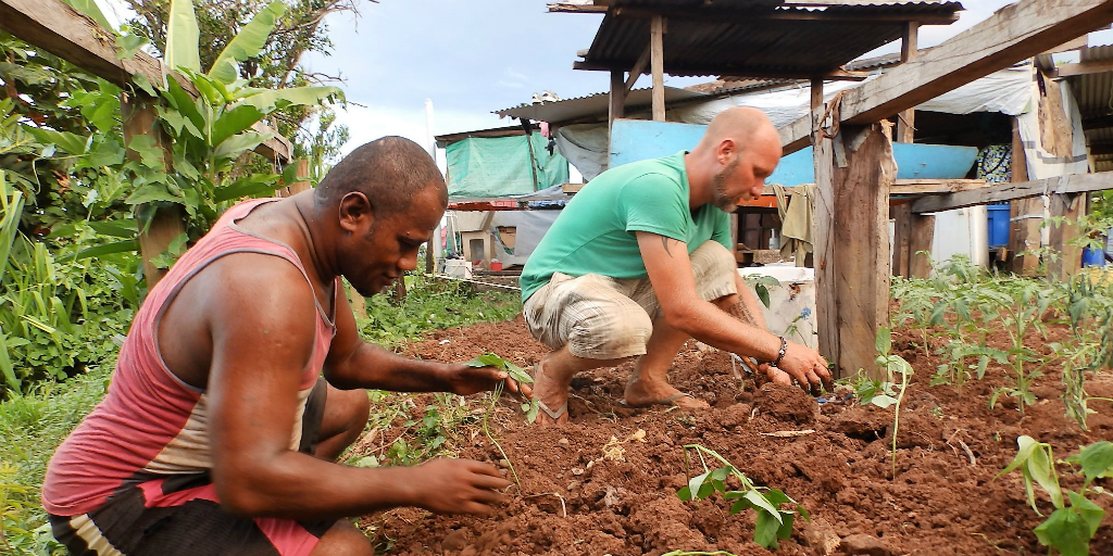 Two men planting seedlings into soil in Dawasamu.