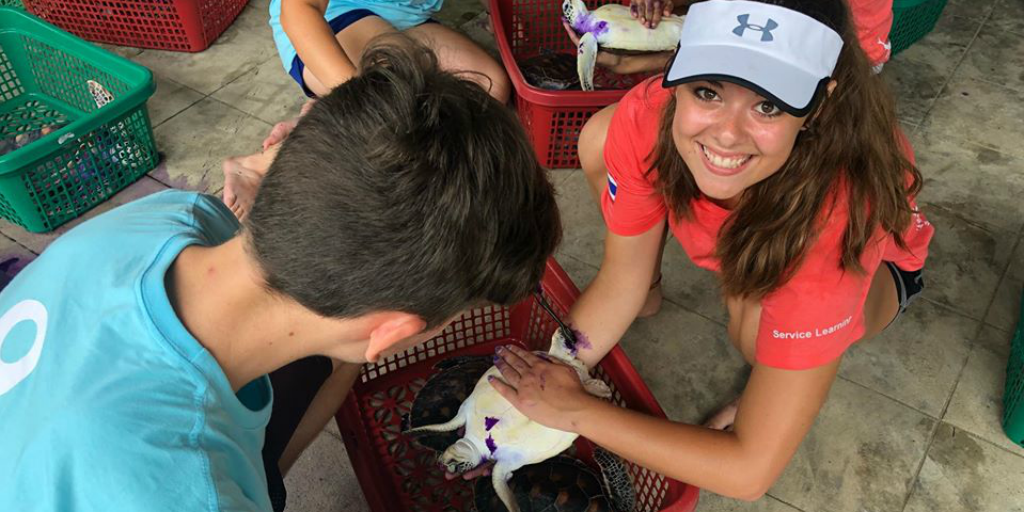 A couple apply purple ointment to an infection on a sea turtle