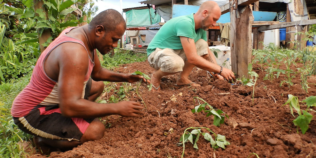 Volunteers planting vegetable seedlings to remove community's dependency on others for their food supply