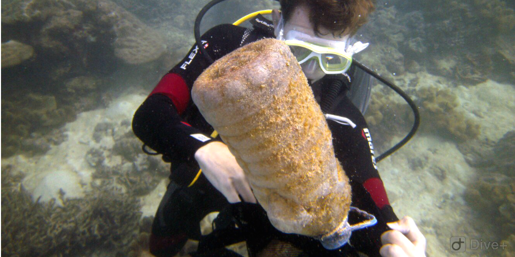 A diver retrieving a large plastic bottle covered in algae from the ocean bed.