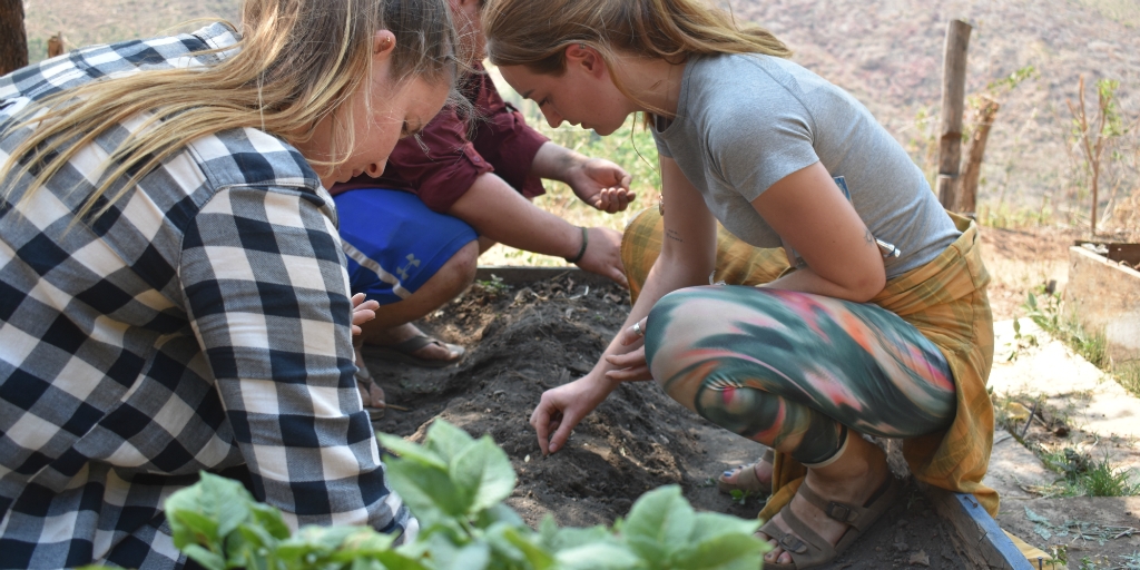 Women working together to bring about a sustainable impact in food production