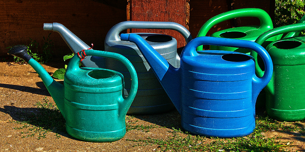 Using water cans instead of a hosepipe is a water saving initiative to deal with water scarcity.