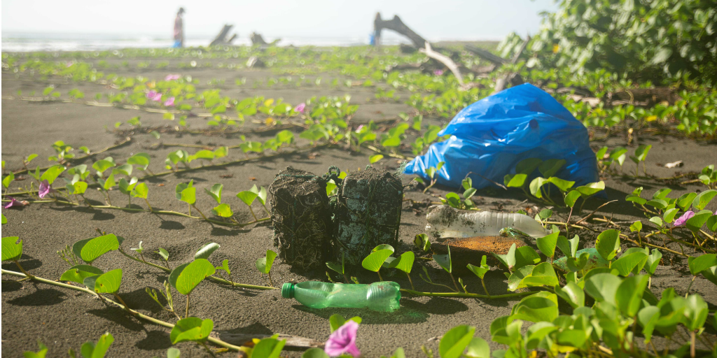 A variety of litter lying amongst the vegetation on a beach.