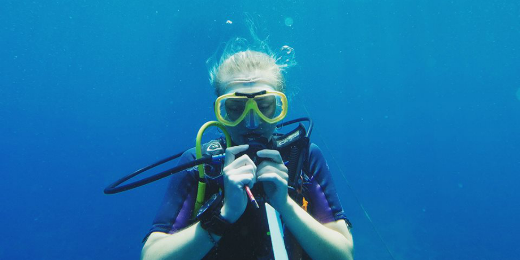 To become a padi professional, you need to be comfortable with being in the water alone