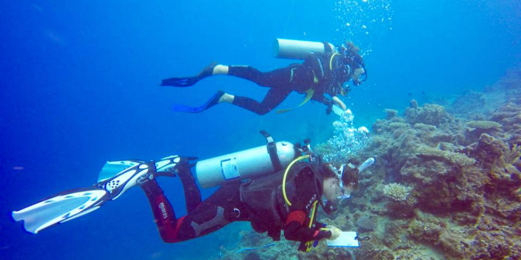 Scuba diving volunteer projects with GVI