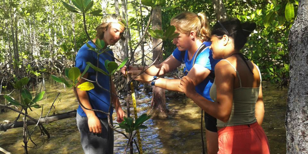 Volunteer trips for teens will teach you valuable skills, like how to work in a team