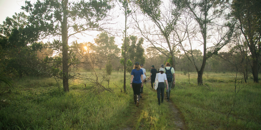 When you volunteer in Thailand, you will learn more about responsible travel and tourism and why it's important to put into practice