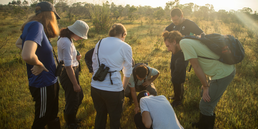 Volunteers in Phang Nga contributing towards the conservation of Thailand