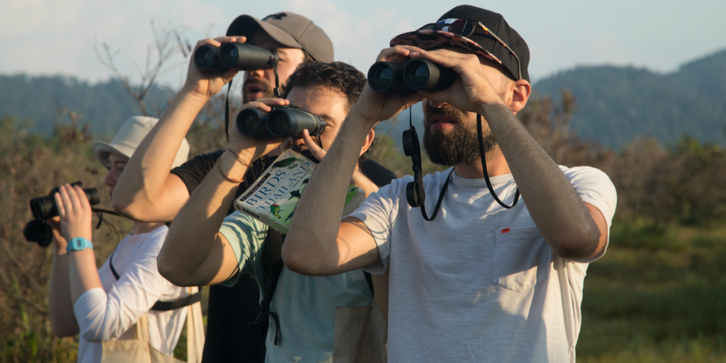 volunteers in thailand contributing towards conservation through bird surveys