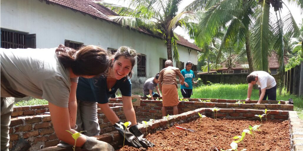 Volunteers wearing rubber gloves and tending to a raised bed garden in a courtyard.