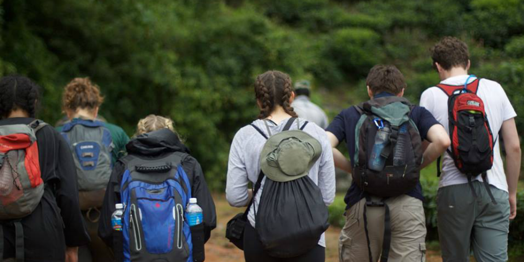 Volunteers wearing hiking gear and walking into a forest.