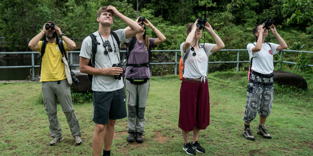 Volunteers working on a wildlife conservation program in Thailand