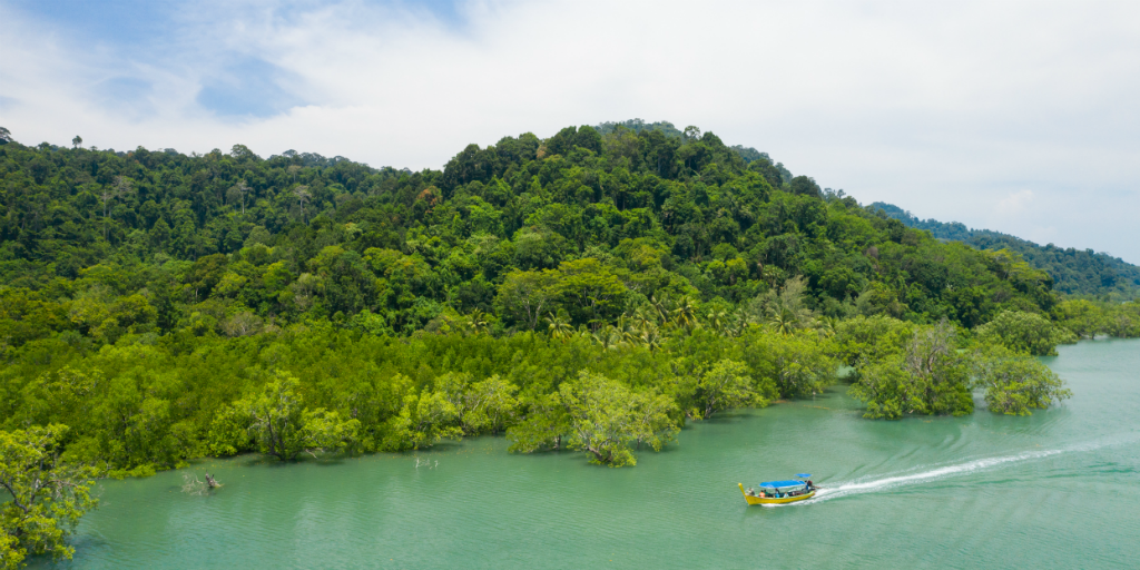 Enjoy the tropical climate when you volunteer in thailand