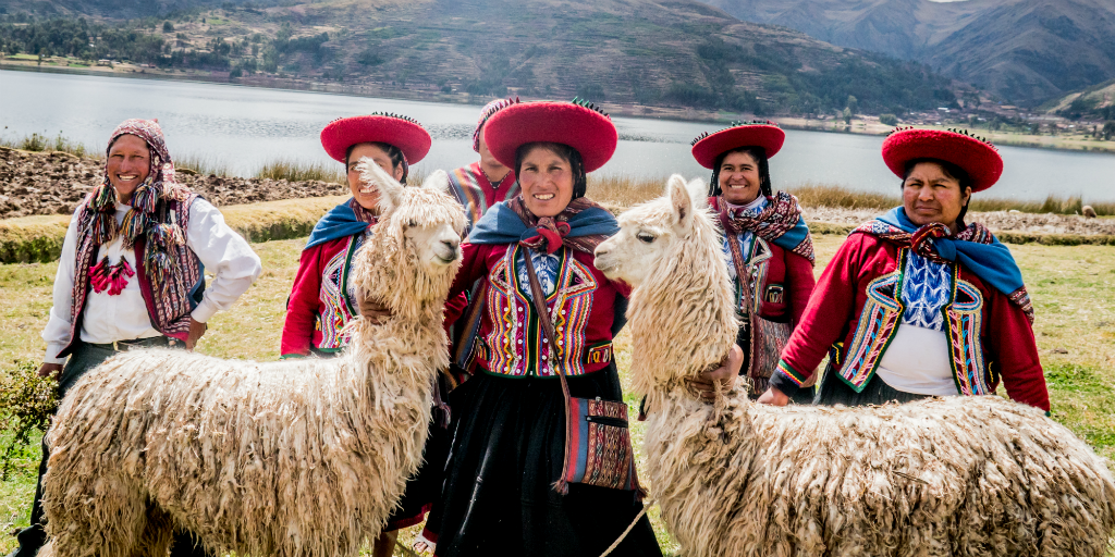 When you choose volunteering in Peru you're likely to see your fair share of llamas