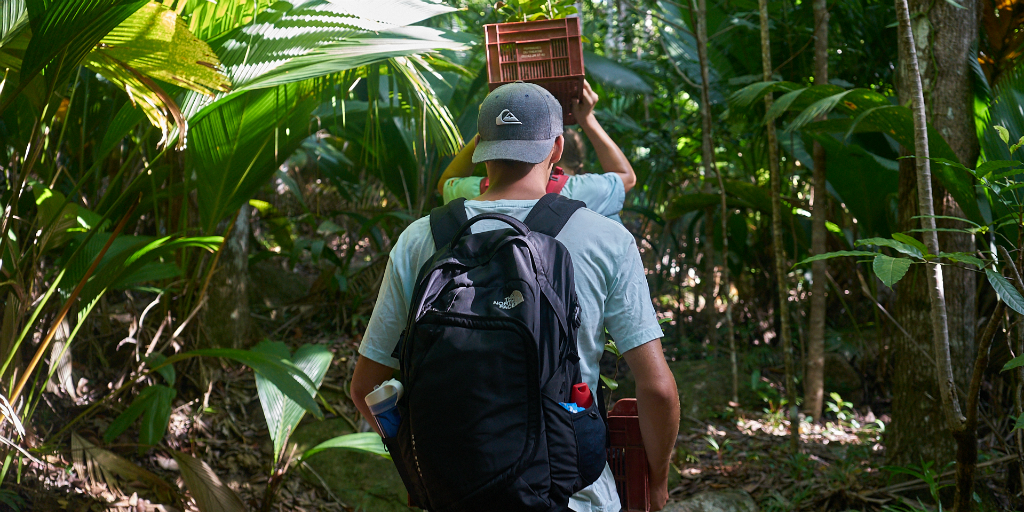 Teen volunteers monitoring the mangroves in Seychelles on a service learning trip