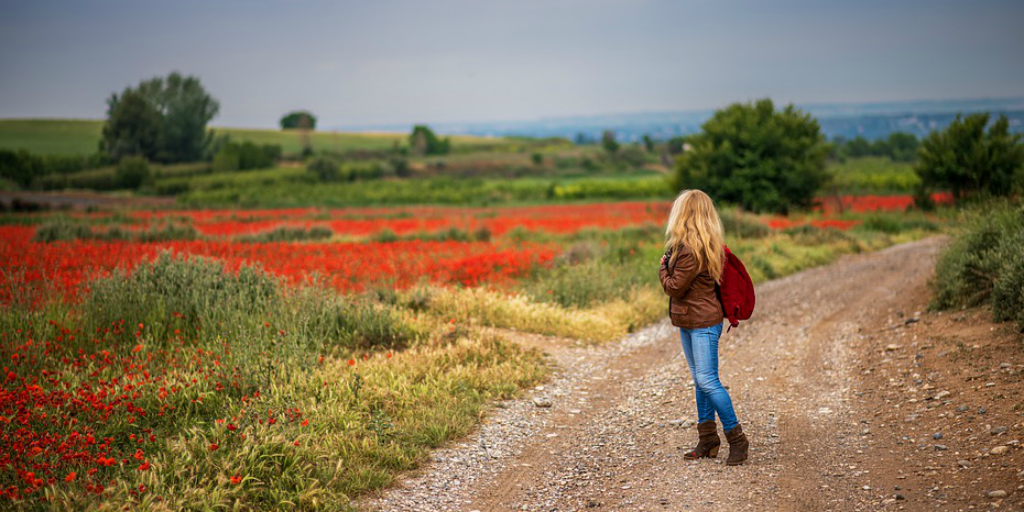 Travel and learn a new language.