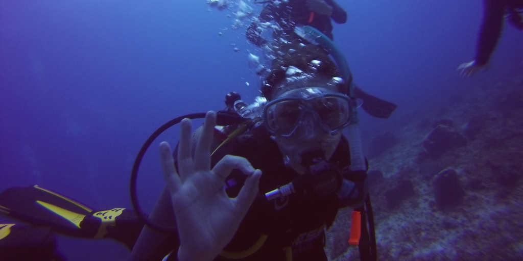 A career break is the perfect opportunity for you to explore your hobbies/ passions, like scuba diving!