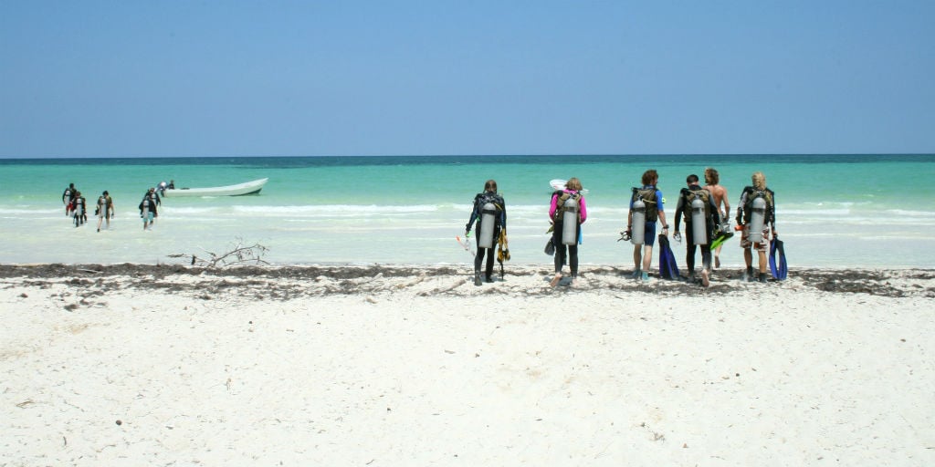 volunteer in Mexico in marine conservation