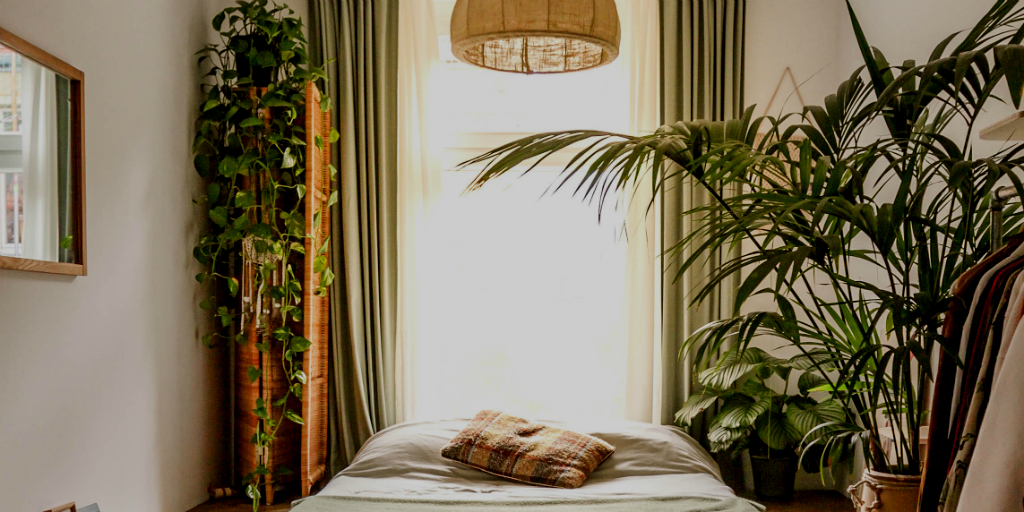 indoor plants can improve sleep