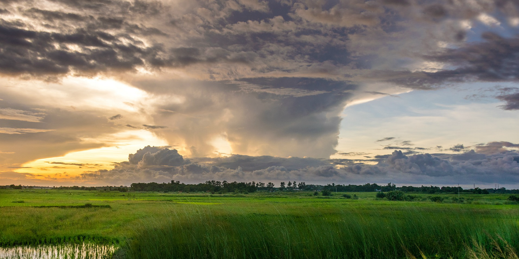  Un aumento dell'impronta di carbonio può causare eventi meteorologici distruttivi come gli uragani.