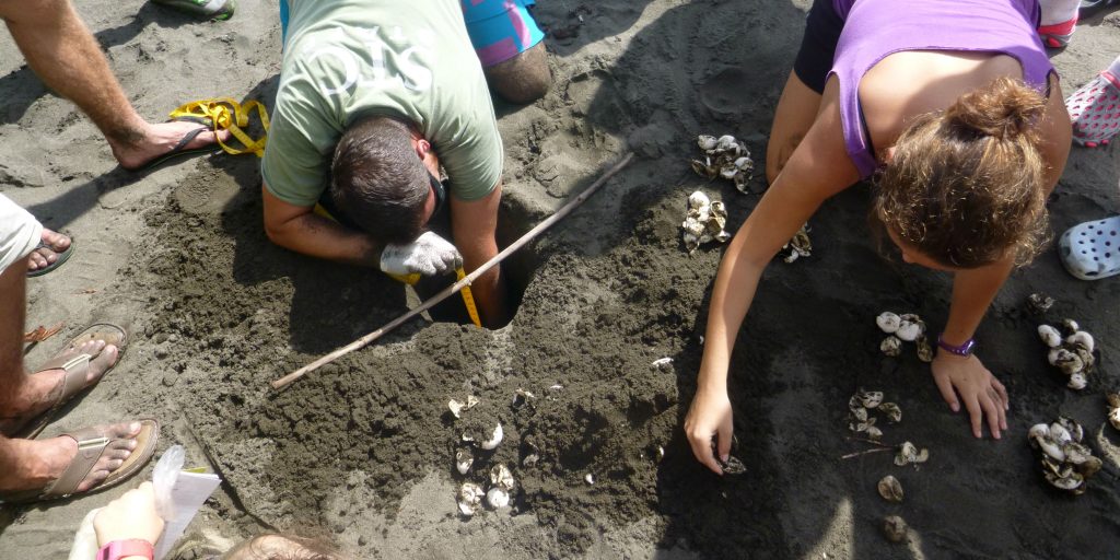 Costa Rica volunteer trips involve valuable research toward wildlife conservation.