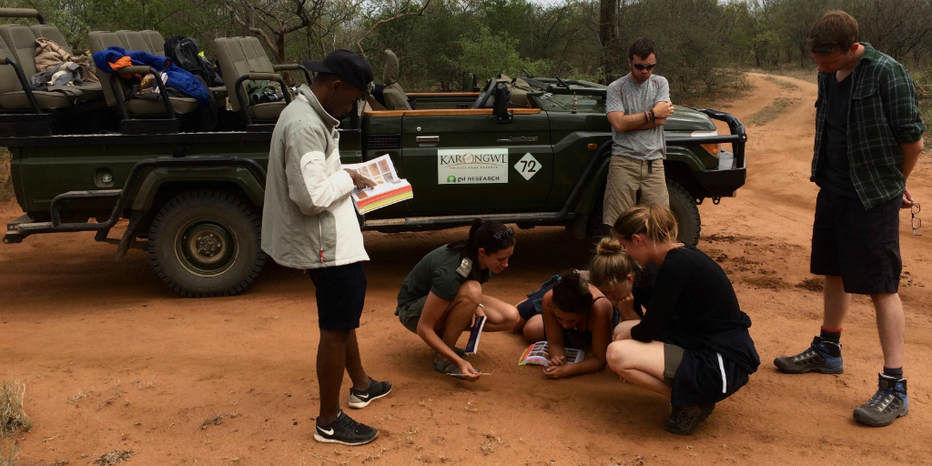 Participants in the field contributing to conservation research