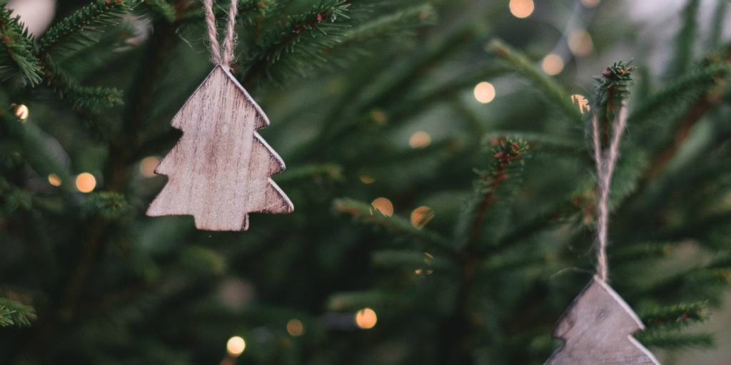 Have a more eco friendly christmas by renting a christmas tree