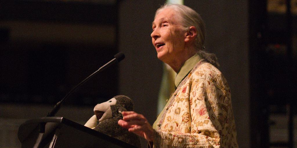 Jane Goodall at MU