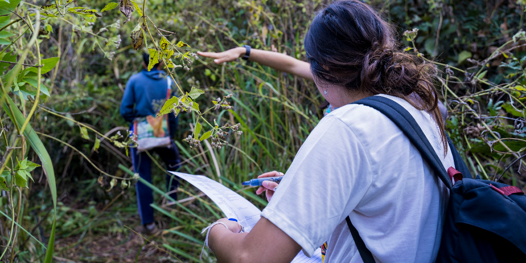 a volunteer kickstarts her green career with GVI with a green internship