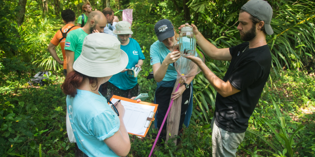 GVI volunteers take note and observe their findings while on their wildlife conservation internship program. 
