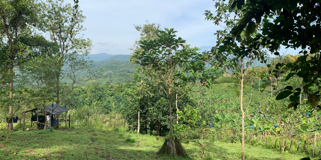 Cimarrones, Costa Rica