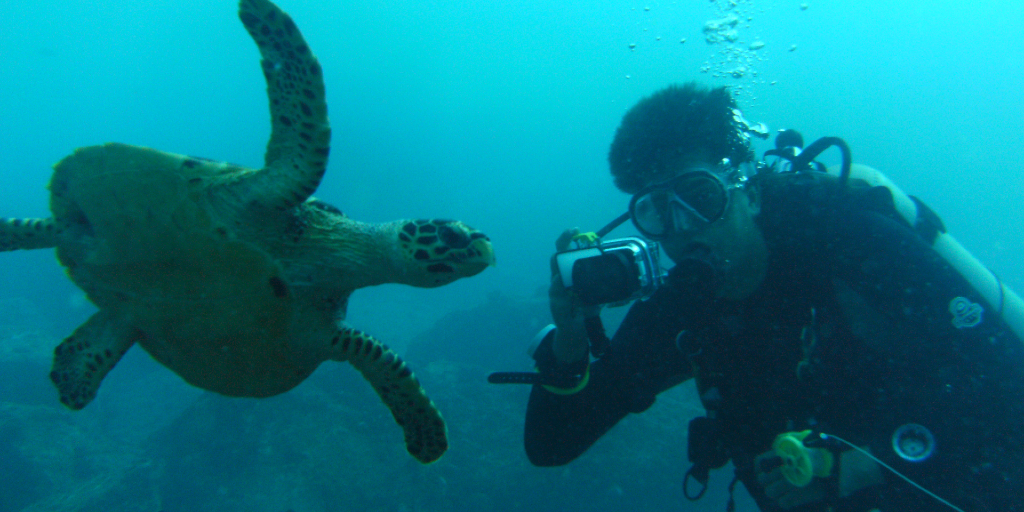 A GVI volunteer swims with a turtle, while gaining conservation work experience. 