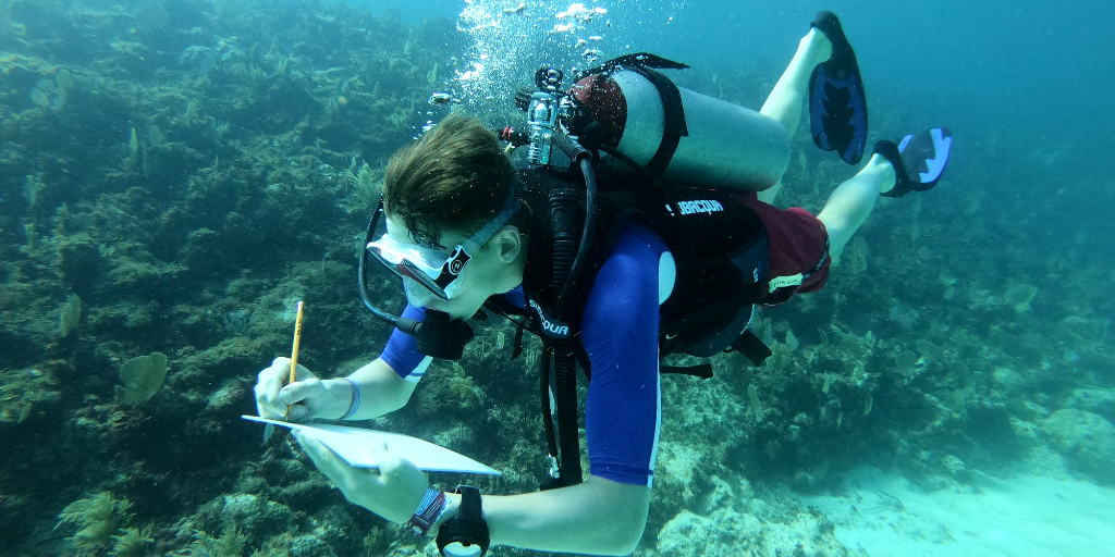 A GVI volunteer takes notes underwater while on a marine conservation internship. 