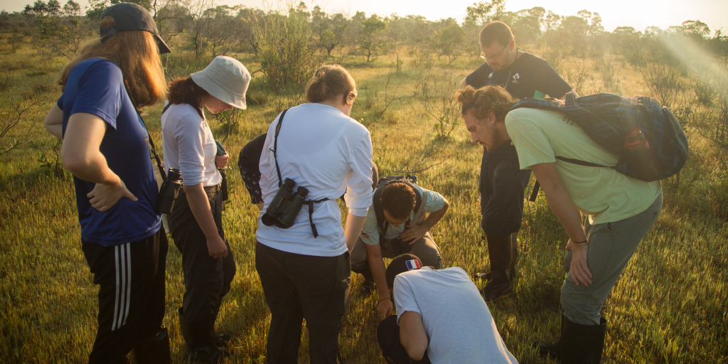 The GVI volunteers examine the grass during a conservation internship abroad. 