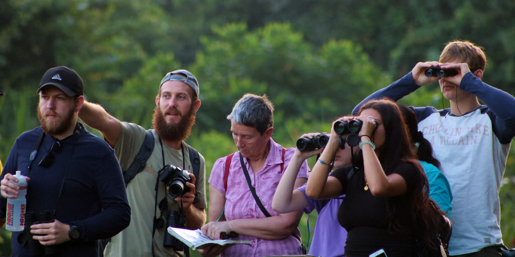 GVI volunteers spot birds during an environmental conservation project. 