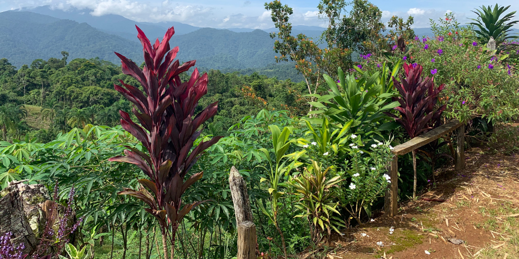 Cimarrones in Costa Rica offers visitors a gorgeous environment to volunteer in