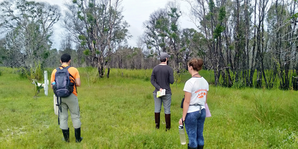 The GVI volunteers assess the environment during their conservation internship. 