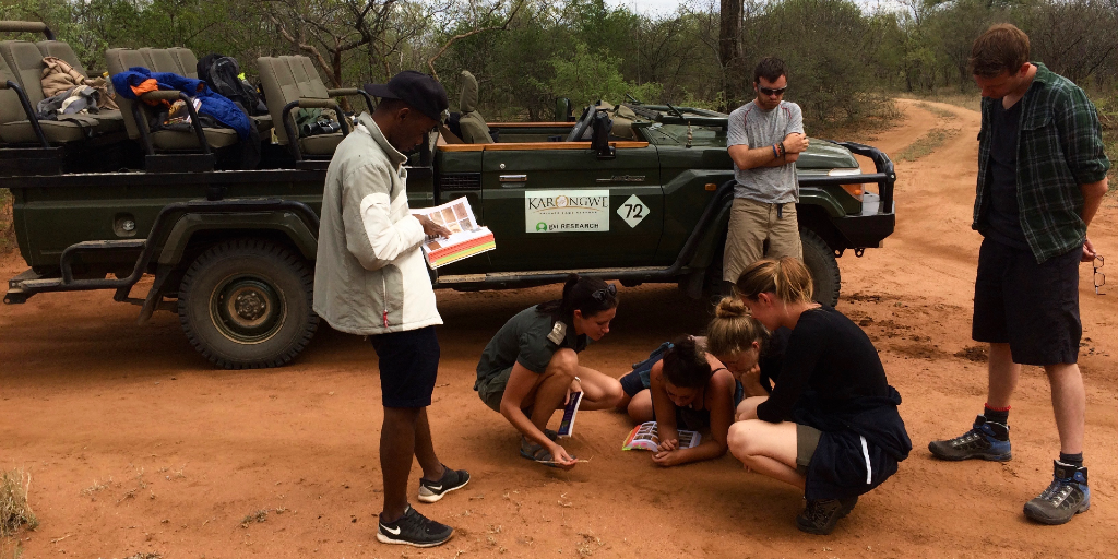 The GVI volunteers take a look at the soil during a wildlife conservation internship