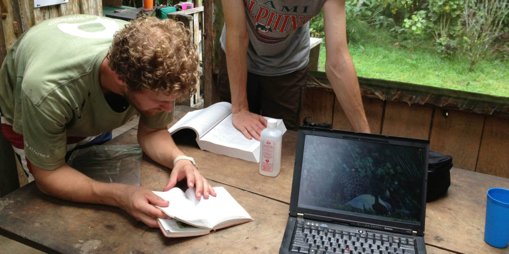 GVI volunteers are busy with some research during their work experience program. 