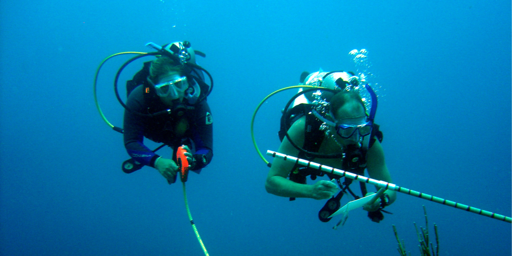 GVI volunteers using the skills they learnt during their PADI scuba diving course. 