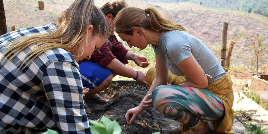 GVI volunteers plant seeds as part of an environmental initiative. 