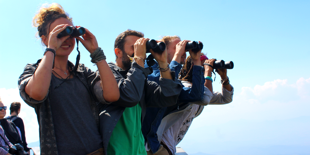 You can gain some bird watching experience during your time in Belize. 