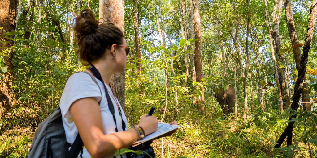 Taking a gap year can help you gain a broader perspective.