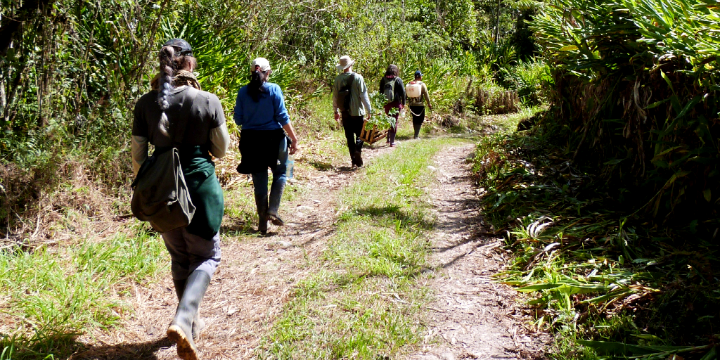 GVI volunteers take a walk during their volunteer abroad program. 