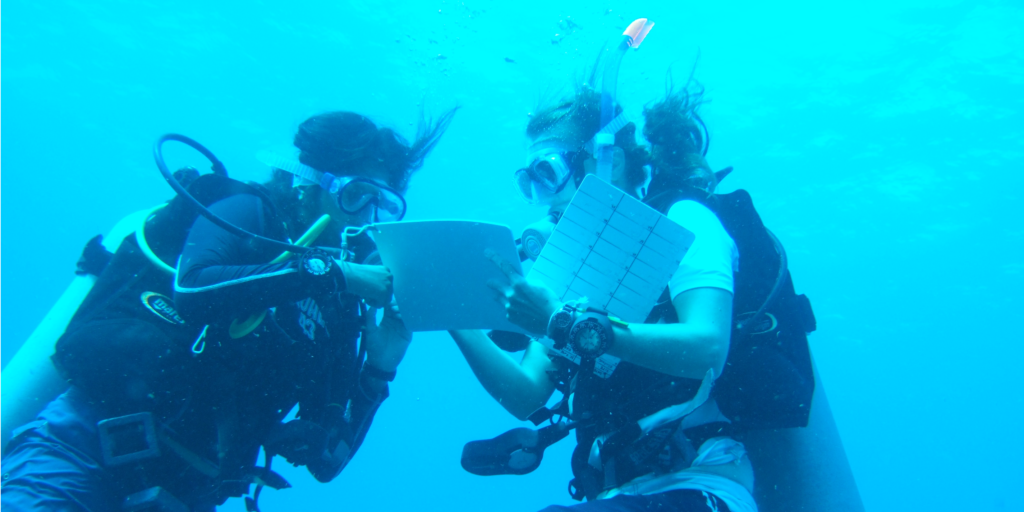 Marine conservation volunteers make notes on their analysis. 